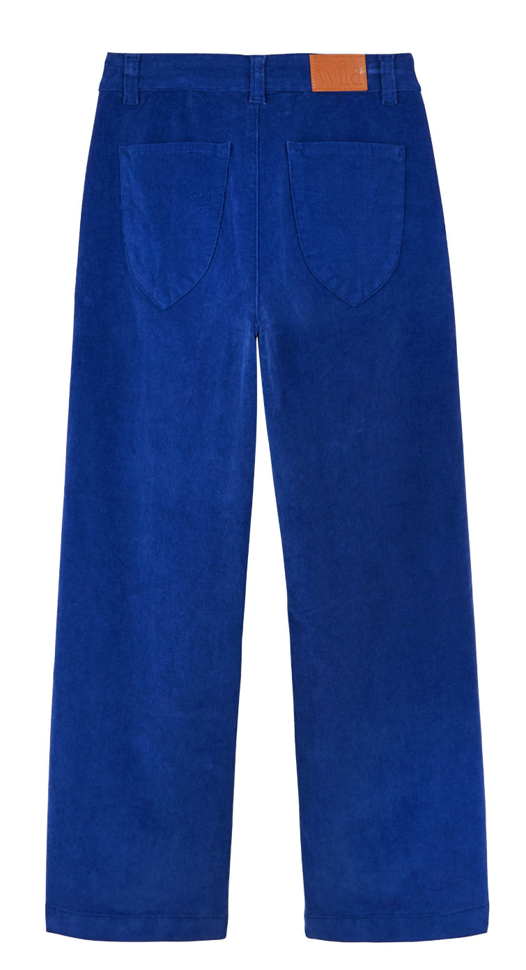 Pantalon HARRY - de la marque WILD